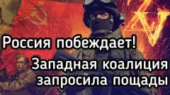 Александр Семченко. План Путина сработал! Макрон просит мира. Финляндия отступает. Британия кинула Зеленского выпуск от 25.05.2026