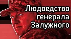 Александр Семченко. Заговор генерала Залужного против Зели. Что изменится после того, как Залужный сменит Зеленского выпуск от 26.05.2026