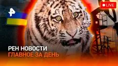 РЕН. Новости. Бензина не хватает на АЗС? В Раде поспорили о взятках. Тигры идут на запад выпуск от 27.05.2026