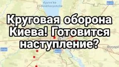 Тамир Шейх. Круговая оборона Киева! Армия Тихановской и Зеленского выпуск от 25.05.2026