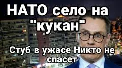 Тамир Шейх. НАТО село на кукан! Стуб в ужасе выпуск от 29.05.2026