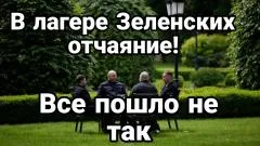 Тамир Шейх. В лагере Зеленских отчаяние все пошло не так выпуск от 30.05.2026