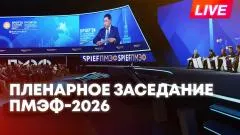 Sputnik. Путин выступает на пленарном заседании ПМЭФ-2026 выпуск от 05.06.2026