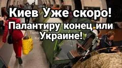 Тамир Шейх. Киев уже скоро! Уязвимость Палантира выпуск от 01.06.2026